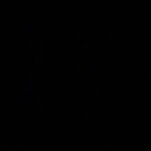 Meet your Posher, Sierra